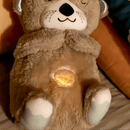 Bebê Urso que Respira 5