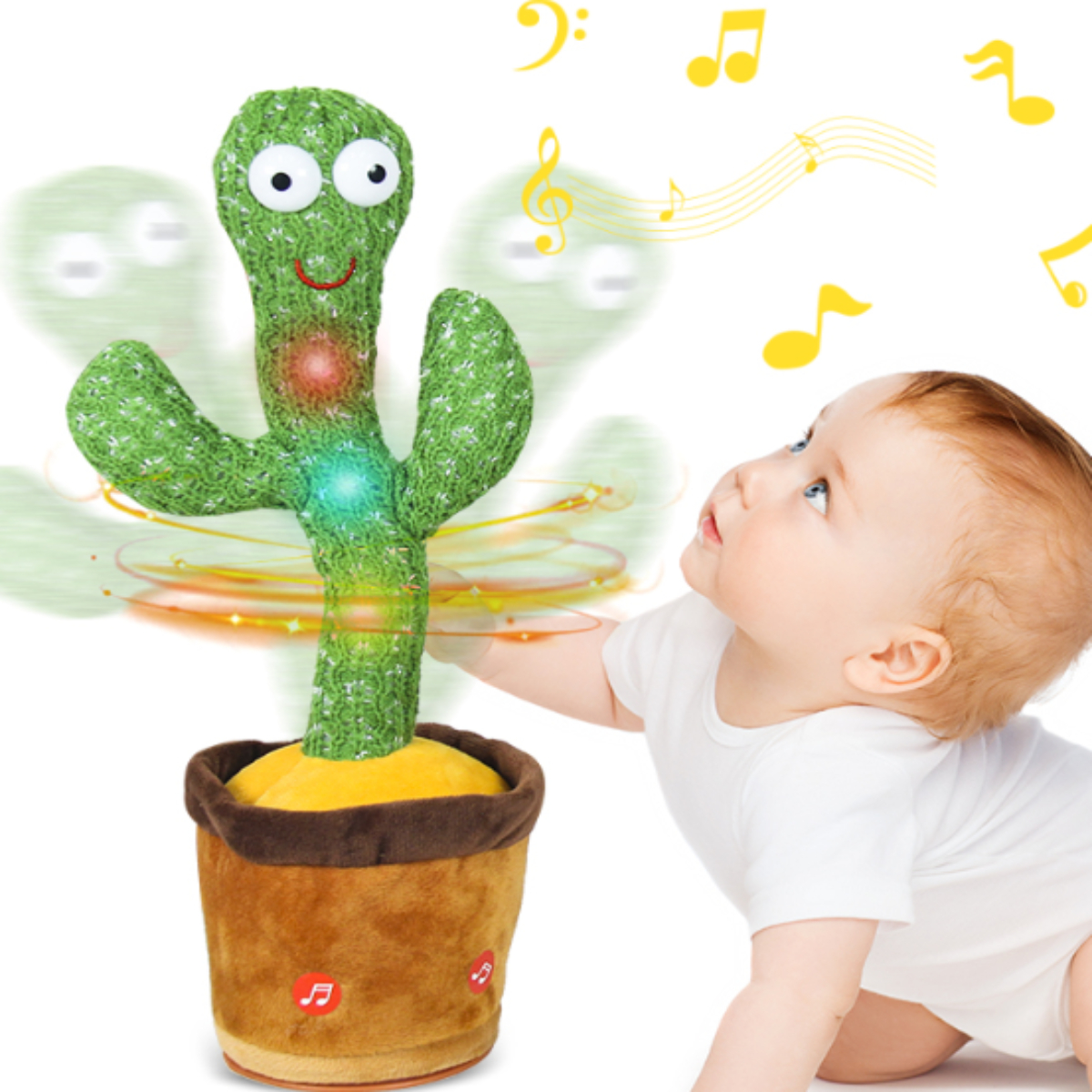 Cacto Dançarino Infantil