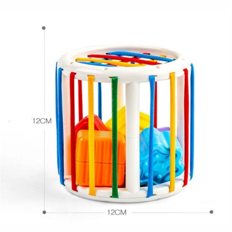 Brinquedo Educativo Redondo