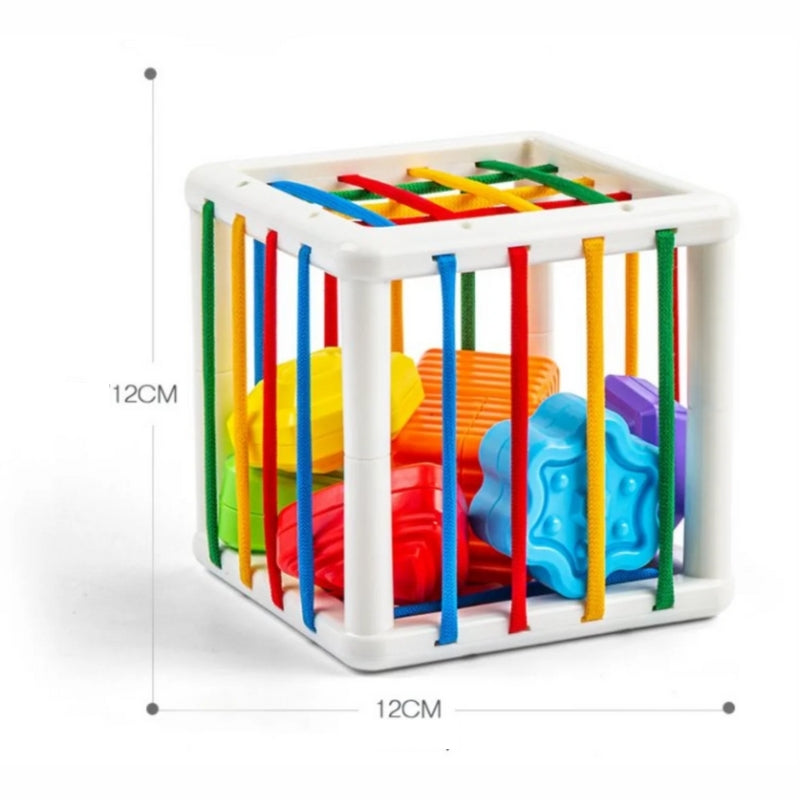 Brinquedo Educativo Qudrado