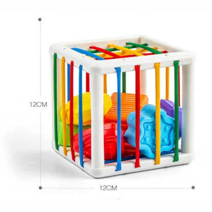 Brinquedo Educativo Qudrado