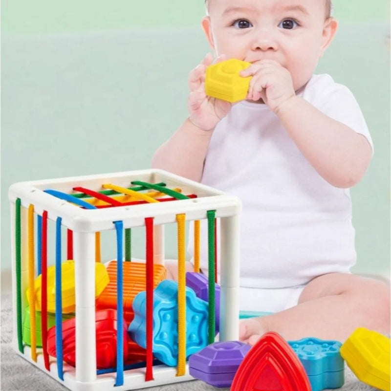 Brinquedo Educativo 3 Anos Gaiola de Blocos