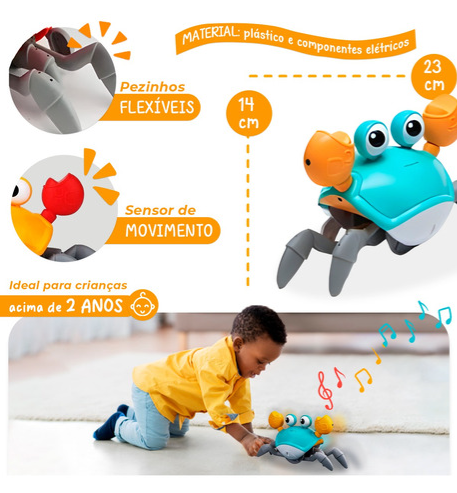 Carangueijo Fujão Detalhes