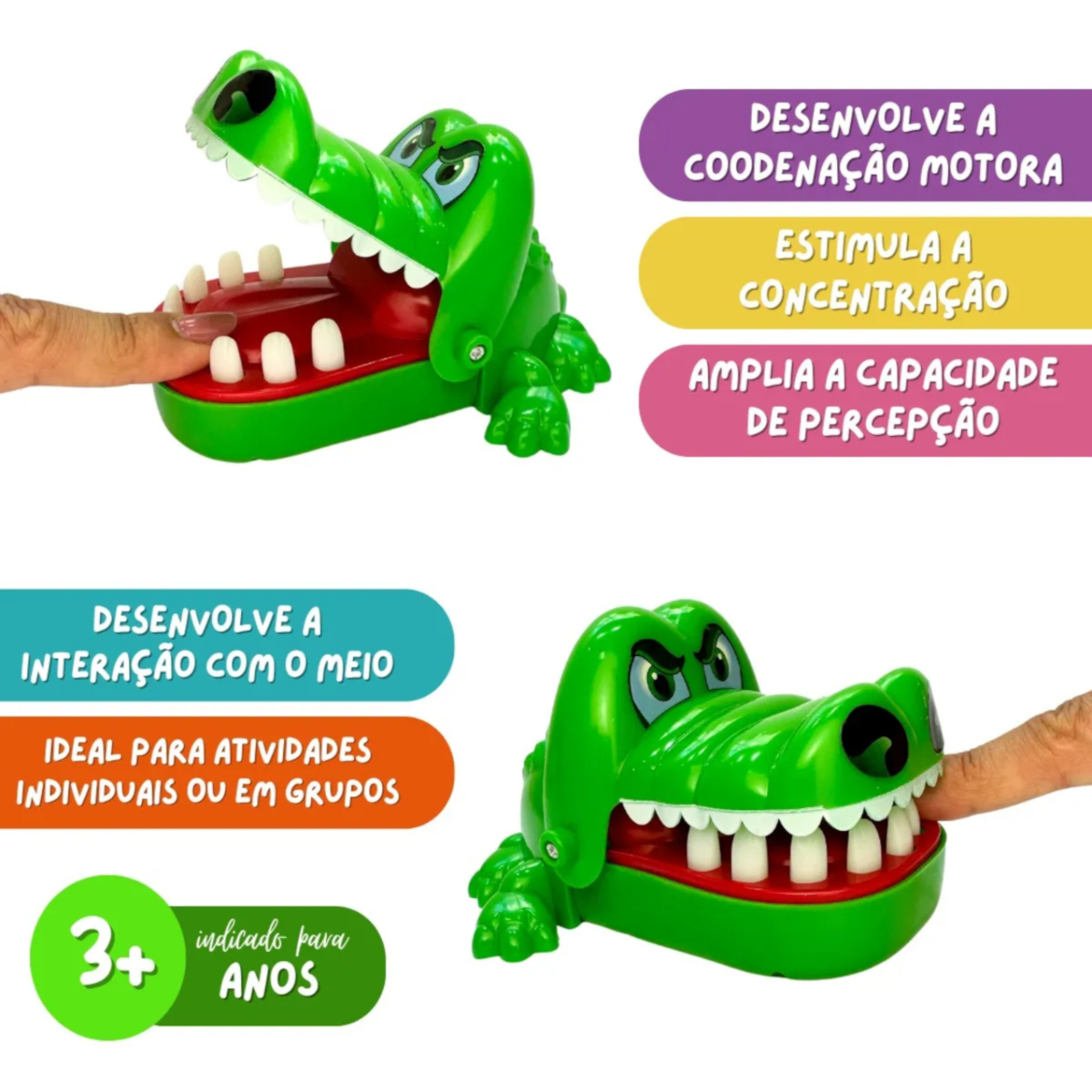 Informações Crocodilo